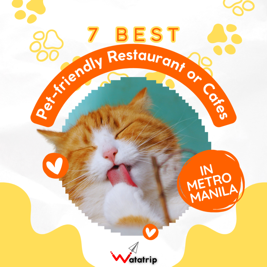 7 Best Pet-friendly Restaurant or Cafes in Metro Manila